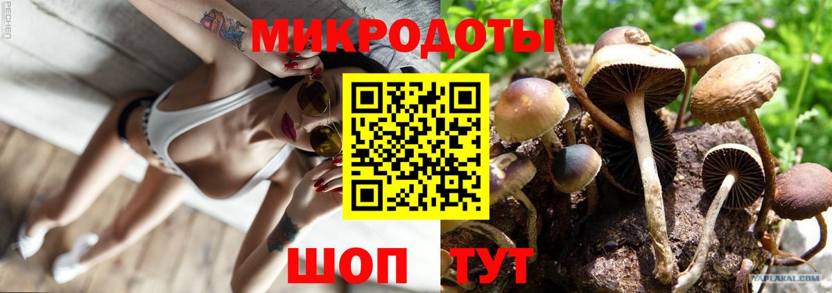 Псилоцибиновые грибы Magic Shrooms Железноводск