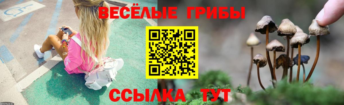 Галлюциногенные грибы Psilocybine cubensis  Вход с VPN  Псилоцибиновые грибы Psilocybe  Железноводск 
